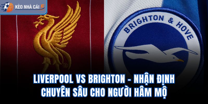 Liverpool Vs Brighton – Nhận Định Chuyên Sâu Cho Người Hâm Mộ