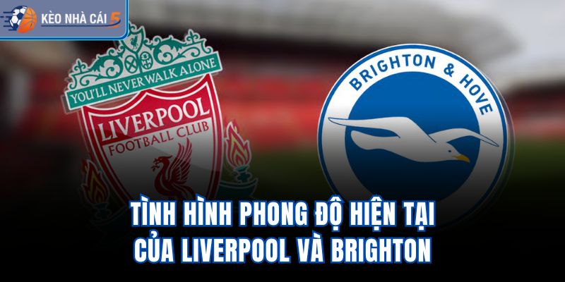 Tình hình phong độ hiện tại của Liverpool và Brighton